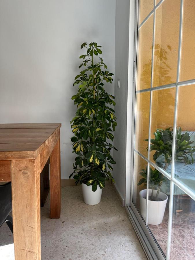 Apartamento La Biznaga Malaga Ngoại thất bức ảnh