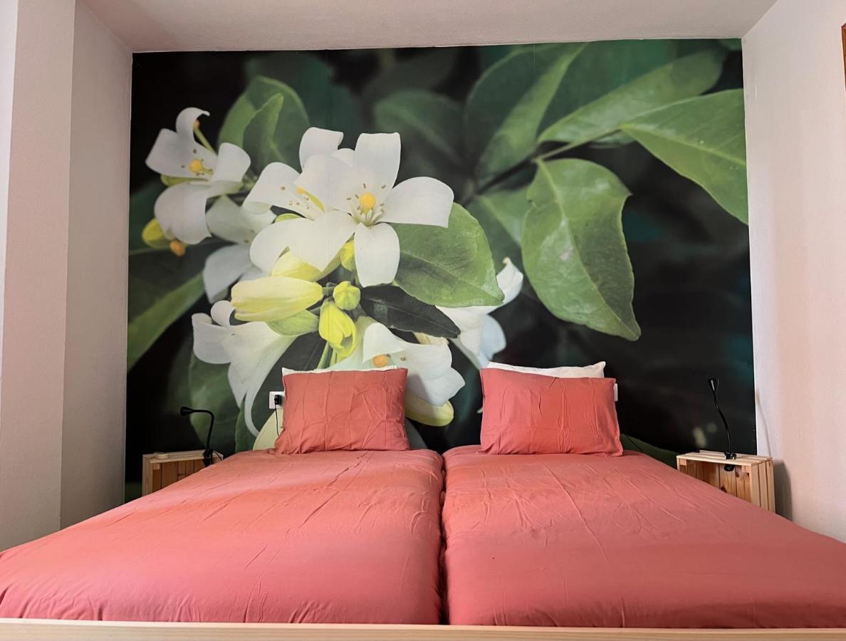 Apartamento La Biznaga Malaga Ngoại thất bức ảnh